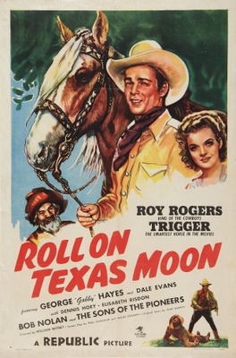 Roll on Texas Moon pillow