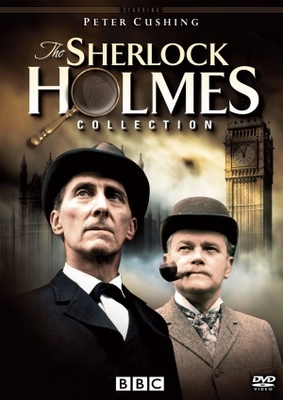Sherlock Holmes Poster 725311
