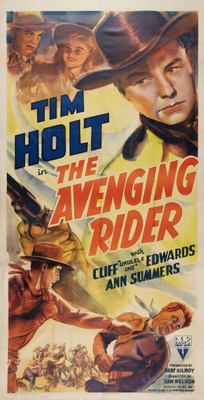 The Avenging Rider Stickers 730849