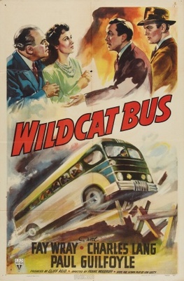 Wildcat Bus pillow