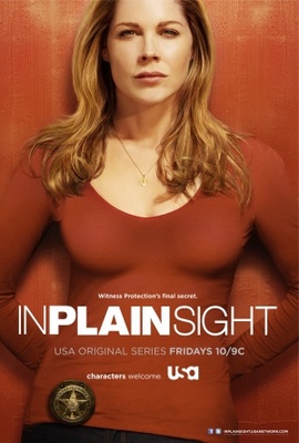 In Plain Sight poster