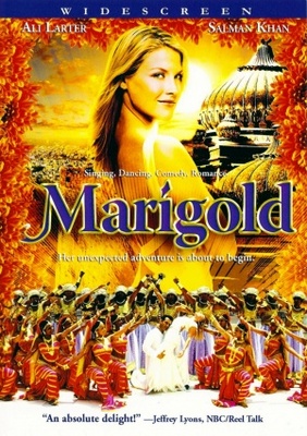 Marigold Wooden Framed Poster