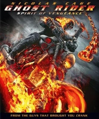 Ghost Rider: Spirit of Vengeance Wood Print