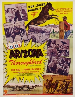 The Gentleman from Arizona Metal Framed Poster