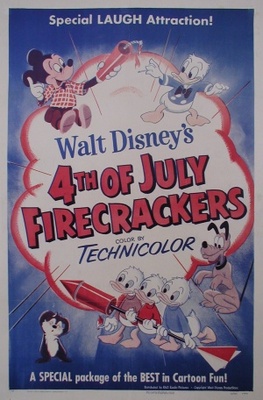 4th of July Firecrackers Poster 736008