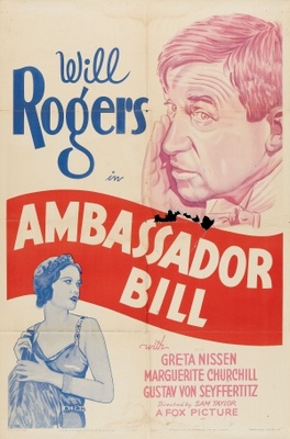 Ambassador Bill pillow