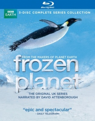 Frozen Planet Canvas Poster