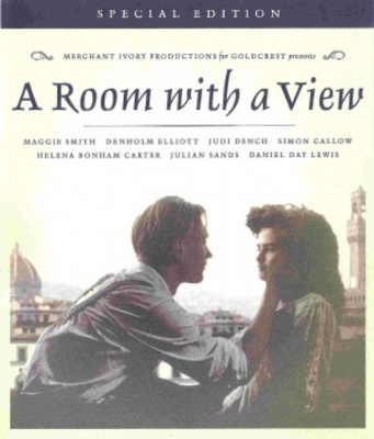 A Room with a View Phone Case