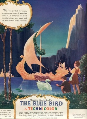 The Blue Bird Metal Framed Poster
