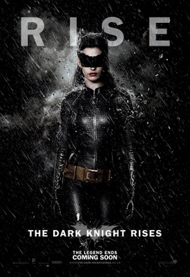 The Dark Knight Rises Poster 739508