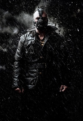 The Dark Knight Rises Poster 740238