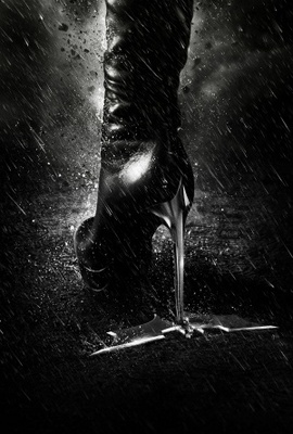 The Dark Knight Rises Poster 740376