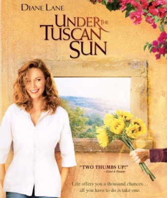 Under the Tuscan Sun pillow