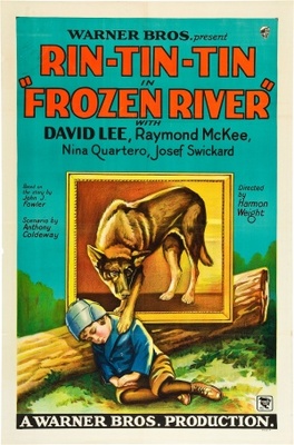 Frozen River Canvas Poster