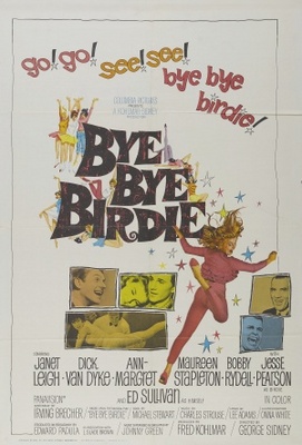 Bye Bye Birdie Canvas Poster
