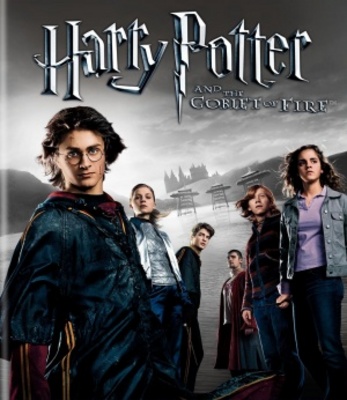 Harry Potter and the Goblet of Fire Canvas Poster