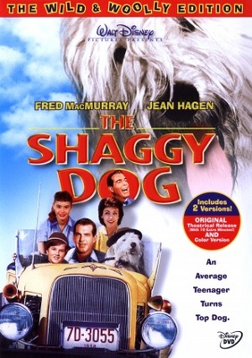 The Shaggy Dog pillow