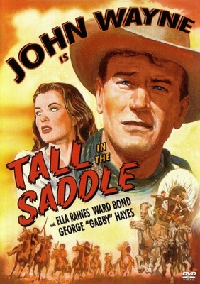 Tall in the Saddle pillow