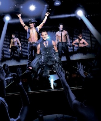Magic Mike Stickers 750830