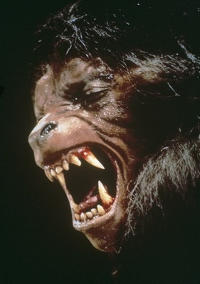 An American Werewolf in London Metal Framed Poster