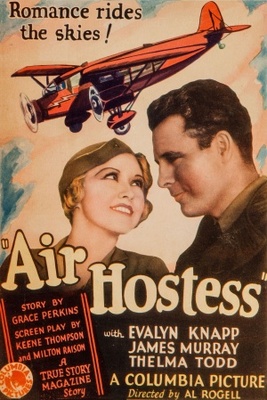 Air Hostess Wood Print