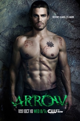 Arrow Poster 764623