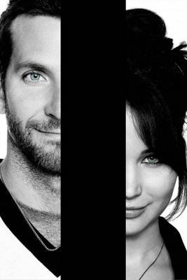 Silver Linings Playbook Poster 765083