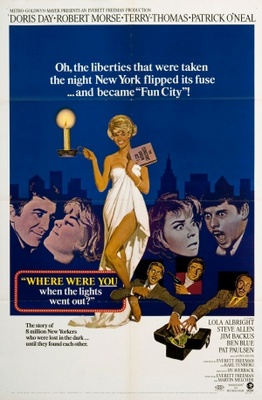 Where Were You When the Lights Went Out? poster