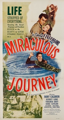 Miraculous Journey poster