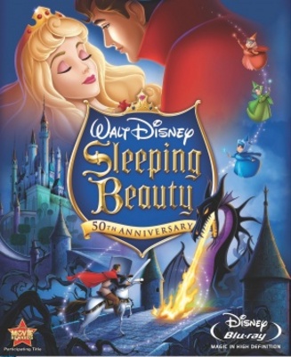 Sleeping Beauty Metal Framed Poster
