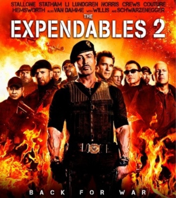 The Expendables 2 Wood Print