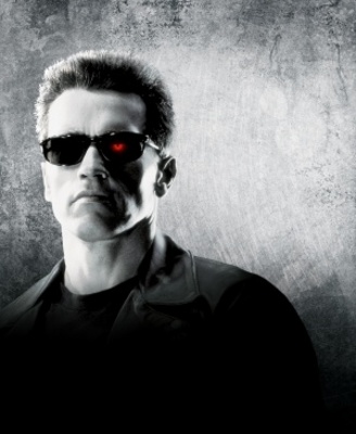 Terminator 2: Judgment Day pillow