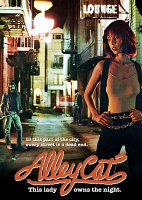 Alley Cat Canvas Poster