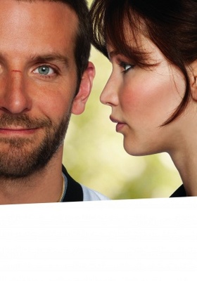 Silver Linings Playbook puzzle 930733