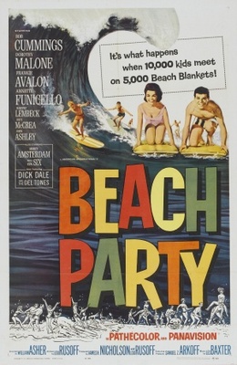 Beach Party Canvas Poster