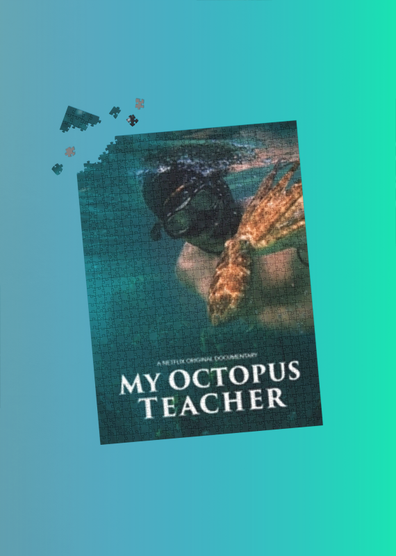 My Octopus Teacher Pazzle