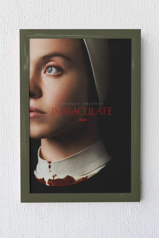 Immaculate Wooden Framed Poster